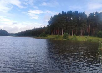 Дом на продажу, 51.8 м2, село Новый Кокшан, улица Ушковых, 73