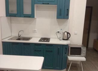 Сдается квартира студия, 25 м2, Санкт-Петербург, Плесецкая улица, 10