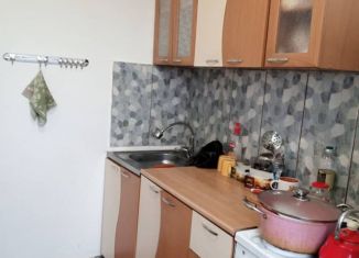 Сдается 1-комнатная квартира, 30.4 м2, Красноярск, проспект имени Газеты Красноярский Рабочий, 14А, Ленинский район