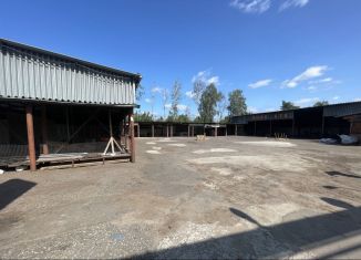 Сдача в аренду помещения свободного назначения, 600 м2, Балашиха, Линейная улица, 8с1