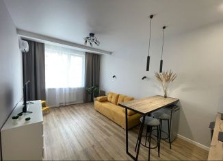 Сдам в аренду квартиру студию, 27 м2, деревня Крёкшино, улица Медовая Долина, 2