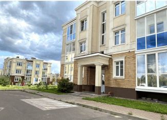 Продается квартира студия, 13.4 м2, деревня Ивановское, улица Николинские Ключи, 34