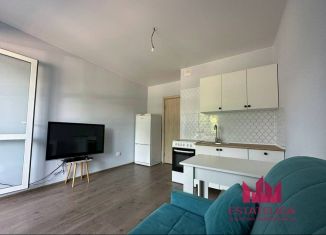 Продается квартира студия, 20 м2, рабочий посёлок Лопатино, Сухановская улица, 26, ЖК Государев Дом