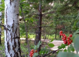 Продаю земельный участок, 18 сот., село Шорохово, улица Калинина, 72