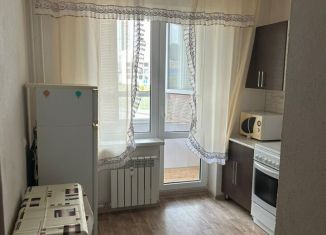 Сдам в аренду однокомнатную квартиру, 31 м2, поселок городского типа Стройкерамика, ЖК Детский Мир, улица Академика Дмитрия Козлова, 16