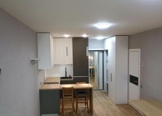 Продаю квартиру студию, 33 м2, Краснодар, улица им. Героя Яцкова И.В., 9к3, микрорайон Губернский