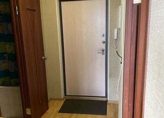 Сдается в аренду 1-комнатная квартира, 32 м2, Мурино, улица Шувалова, 1, ЖК Гринландия