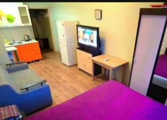 Сдам в аренду квартиру студию, 30 м2, Санкт-Петербург, Московский проспект, 183-185Бк9А, ЖК Граф Орлов