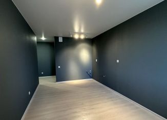 Квартира на продажу студия, 24.2 м2, Мурино, Ручьёвский проспект, ЖК Авиатор