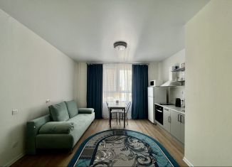 Аренда двухкомнатной квартиры, 38.5 м2, Люберцы, Некрасовский проезд, 13, ЖК Люберцы 2018