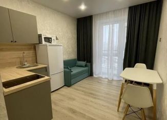 Сдача в аренду 1-комнатной квартиры, 37 м2, Казань, улица Аделя Кутуя, 110Дк2, ЖК Паруса