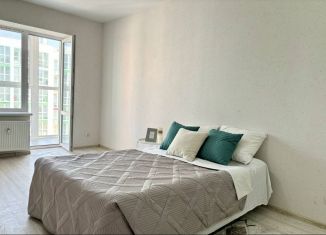 Сдается 1-комнатная квартира, 40.1 м2, поселок городского типа Стройкерамика, улица Анетты Басс, 4с2