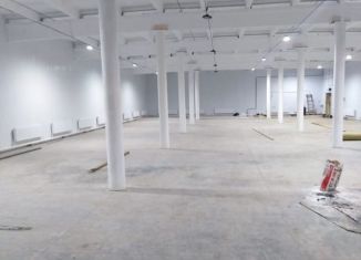 Сдаю помещение свободного назначения, 1100 м2, село Толбазы, улица Титова, 14