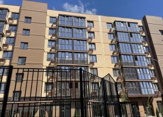 Продается 1-комнатная квартира, 41.7 м2, поселок Южный, Екатерининская улица, 5к1