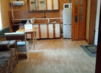 Сдаю в аренду дом, 110 м2, деревня Кирконкюля