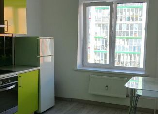 Сдам однокомнатную квартиру, 40 м2, поселок городского типа Стройкерамика, улица Анетты Басс, 4с4