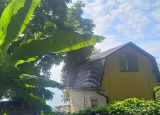 Сдаю дом, 50 м2, Сочи, Магистральная улица, 86/1, микрорайон Чемитоквадже