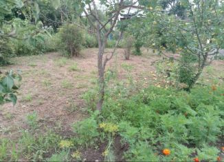 Продам дачу, 18.6 м2, Приморский край