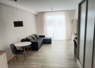 Продажа квартиры студии, 26.5 м2, Краснодар, улица Генерала Шифрина, 1, Западный округ