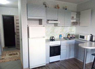 Квартира в аренду студия, 28 м2, Республика Башкортостан, улица Архитектора Калимуллина, 1