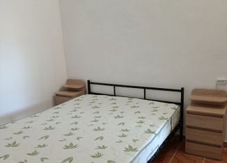Аренда квартиры студии, 26 м2, Крым, ГСК-2, 81