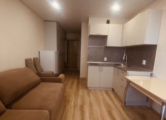 Сдаю в аренду квартиру студию, 23 м2, Республика Башкортостан, улица Валерия Лесунова, 18