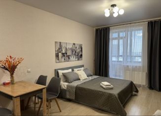 Сдам в аренду квартиру студию, 29 м2, посёлок Парголово, Заречная улица, 10, ЖК Прагма Сити