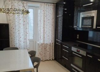 Сдается 1-ком. квартира, 50 м2, Санкт-Петербург, Гаккелевская улица, 33к1