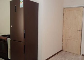 Сдача в аренду трехкомнатной квартиры, 68 м2, Санкт-Петербург, 13-я Красноармейская улица, 20