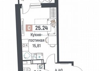 Продам квартиру студию, 25.2 м2, Мурино, ЖК Авиатор