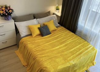 Сдается квартира студия, 27 м2, Санкт-Петербург, Русановская улица, 20к1, Невский район