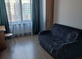 Сдается в аренду однокомнатная квартира, 32 м2, Санкт-Петербург, Комендантский проспект, 66к1