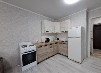 Сдача в аренду квартиры студии, 28 м2, Республика Башкортостан, Сливовая улица, 1/1