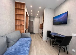 Сдается однокомнатная квартира, 34 м2, Сочи, улица Искры, микрорайон Кудепста