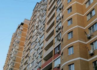Сдается однокомнатная квартира, 53.5 м2, Краснодар, проспект Чекистов, 8/4, Западный округ
