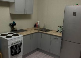 Сдаю квартиру студию, 25 м2, Ростов-на-Дону, улица Тимофеева, 9, ЖК Платовский