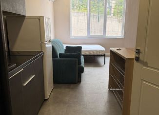 Квартира в аренду студия, 24 м2, Сочи, улица Яна Фабрициуса, 54/55