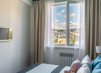 Сдаю в аренду однокомнатную квартиру, 47 м2, Сочи, Виноградная улица, 123/8, микрорайон Новый Сочи