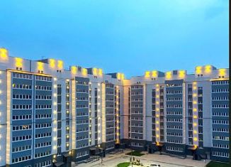 Продажа 3-ком. квартиры, 93.7 м2, село Чигири, Красивая улица