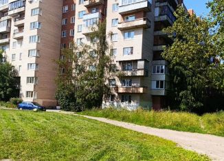 Сдается 2-комнатная квартира, 44.6 м2, Санкт-Петербург, улица Чекистов, 38