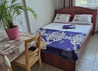 Сдаю в аренду квартиру студию, 18 м2, Москва, Картмазовская улица, 20