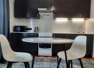 Сдается в аренду 1-комнатная квартира, 39 м2, Санкт-Петербург, улица Сикейроса, 7к2