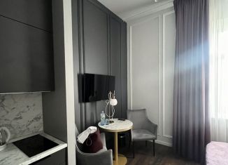 Сдаю в аренду квартиру студию, 22 м2, Санкт-Петербург, Подъездной переулок, 13