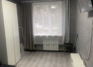 Аренда 1-комнатной квартиры, 28 м2, Североморск, улица Северная Застава, 28
