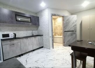 Сдам квартиру студию, 25 м2, Армавир, улица Дзержинского, 154