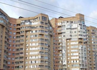 Продам квартиру студию, 28.9 м2, Санкт-Петербург, Красносельский район, Ленинский проспект, 82к1