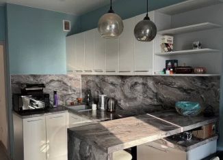 Сдается в аренду однокомнатная квартира, 41.3 м2, Новосибирск, улица Лескова, 23, ЖК Оазис