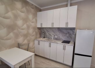 Сдача в аренду квартиры студии, 27 м2, Ростов-на-Дону, переулок Чаленко, 9/1, ЖК Западная Резиденция