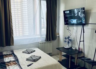 Аренда квартиры студии, 27 м2, Котельники, Сосновая улица, 2к4