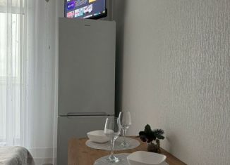 Сдается квартира студия, 20 м2, Ульяновск, улица Александра Невского, 4Ак1, Засвияжский район